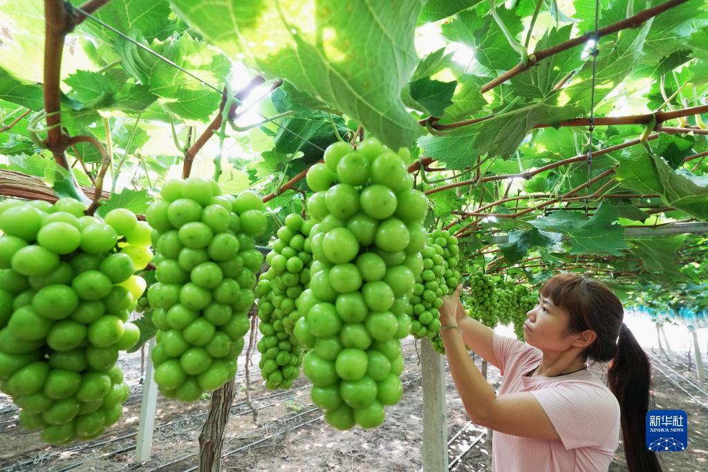 必富娱乐lg